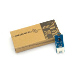 Digital Thermometer Sensor DS18B20