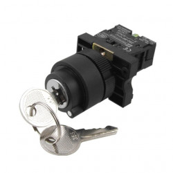 2 Position Rotary Key Lock Selector Switch